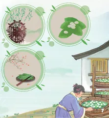 立夏与小满3