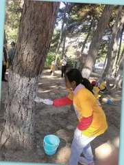 小小少年在行动2