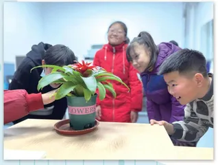 观察的乐趣