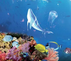 海底总动员