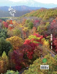 多彩金秋