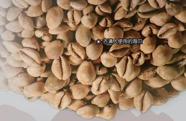 国宝召集令