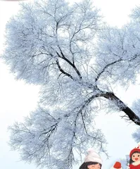 兴城雪景