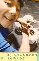 我的虫宠时光