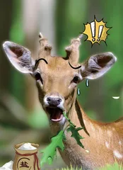 动物也吃盐