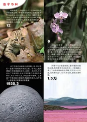 1935.3等