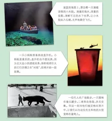 不可思议的照片