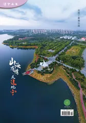沈阳丁香湖公园