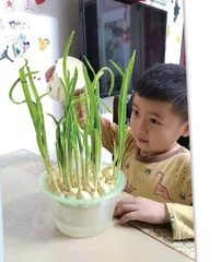 守护纯真之心