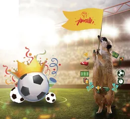 冲向世界杯