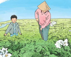 洋芋开花赛牡丹