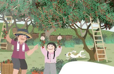 荔枝灯