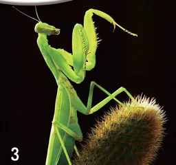 1.25亿 等