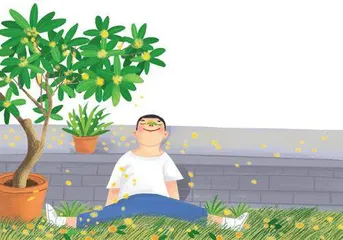 一朵桂花开多久