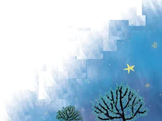 狐狸的星星河