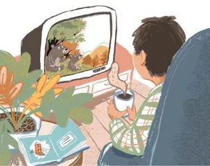 板栗园