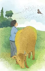 怀念鹰
