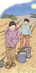 一株草木的前世今生