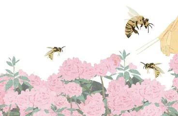 蜂箱