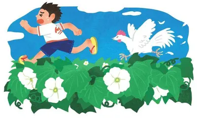 全世界最可恶的葫芦瓜