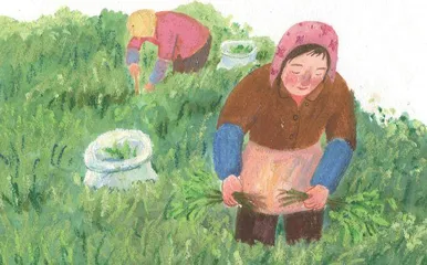 在烘房的日子