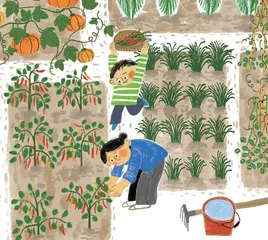 母亲的菜园