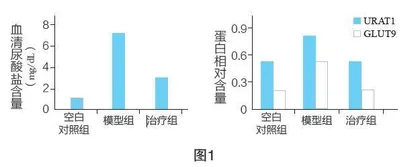 生物实验中的阳性对照与阴性对照