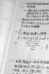沼泽中也会盛开出绚丽的花朵