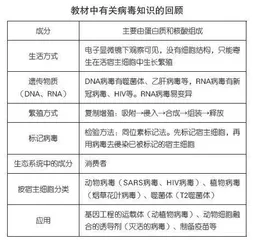 高中生物新冠病毒相关知识总结