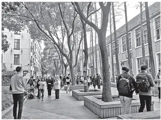 华南“花园放牛”大学