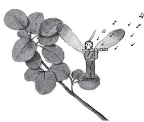 修改病句，命题人不告诉你的秘密（三）