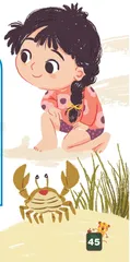 赶海去世3
