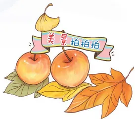 时光的画卷