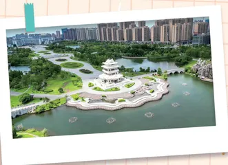 有序的说明，清晰的条理