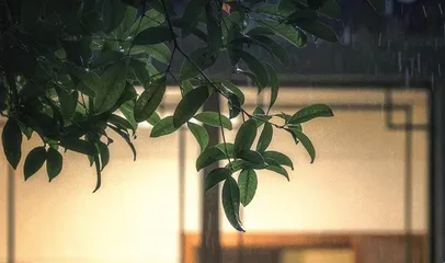精读课：巴金《秋夜》 