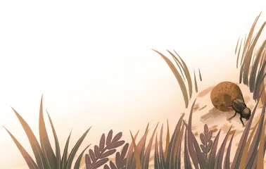 石竹湖日落