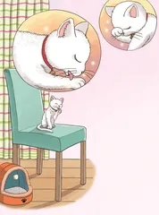 小漂亮