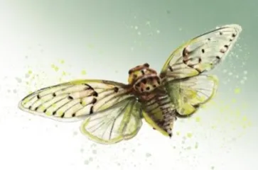 蜕 变