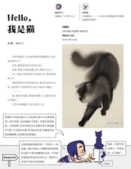 Hello,我是猫
