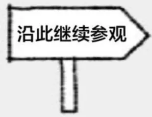 在图书馆,照见知识与美6