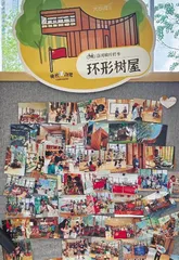 相逢一条发现宝藏的生活轨迹