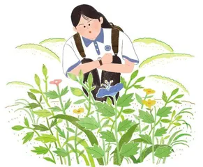 小草启示录