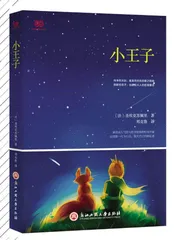 小王子:今夜的星空格外璀璨