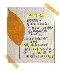 瞧我的放松大招
