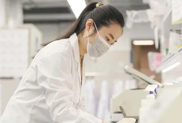 一棵树的生长