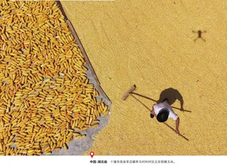 丰收的颜色