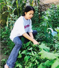 坝子上的女孩：田园孩子早当家