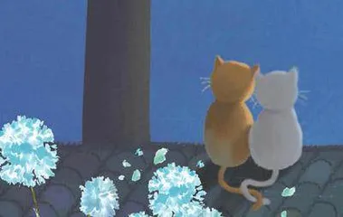 夜