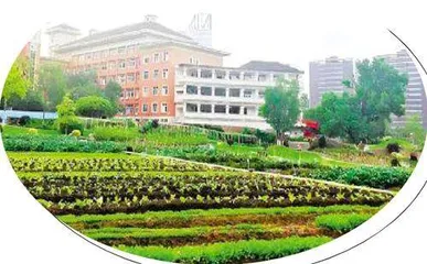 丽水职业技术学院