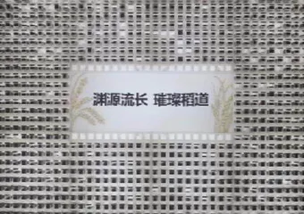 好奇!时间切片里的故事